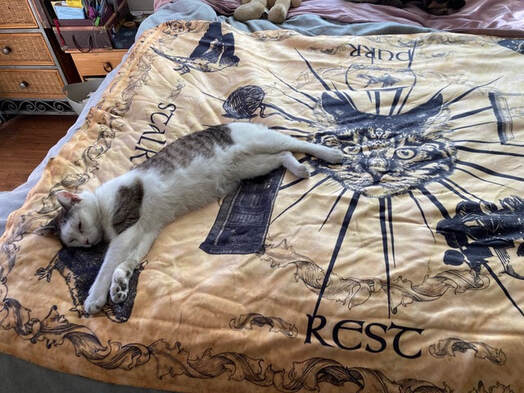Photo of a white cat with brown spots sleeping on the Feline Oracle spirit blanket.