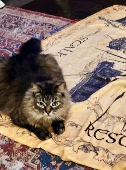 Photo of a brown longhaired cat perched on corner of the Feline Oracle spirit blanket.